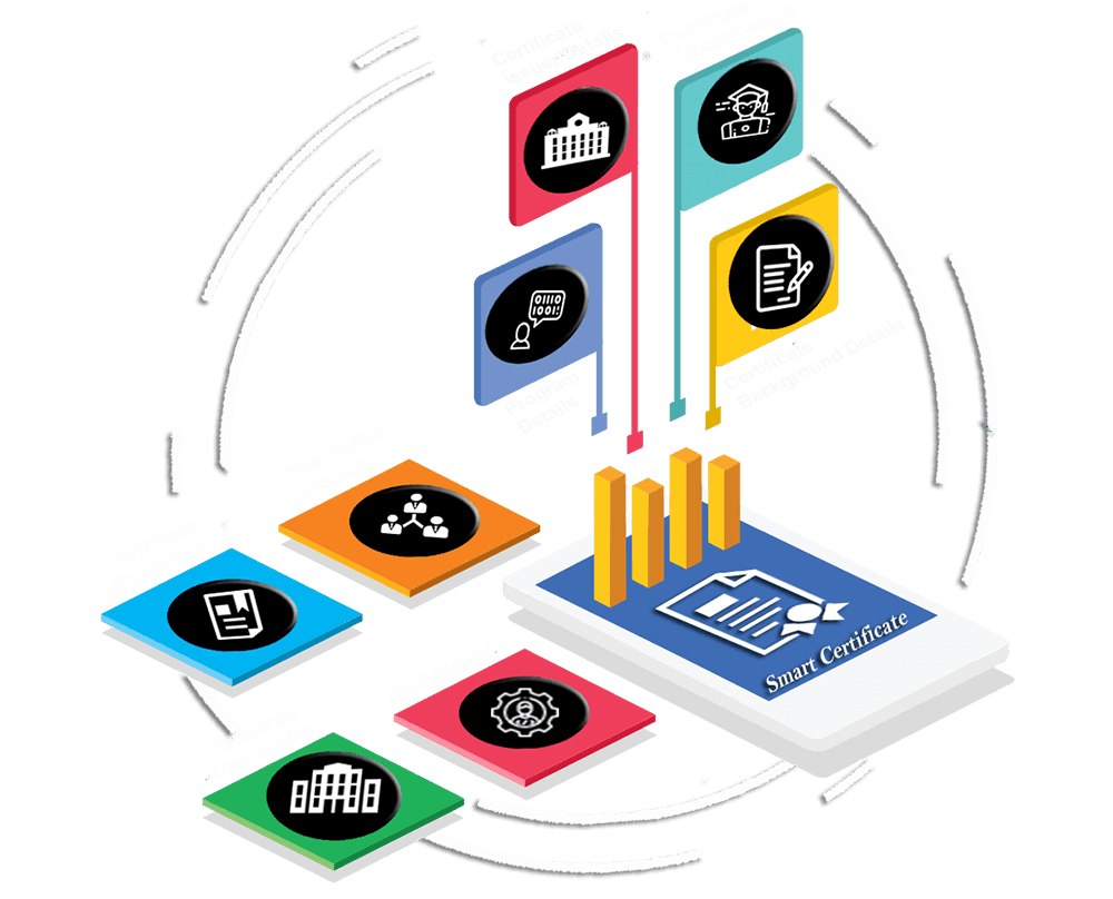 Verification Process